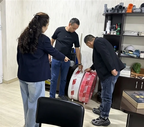 La indústria de la canonada de Ruijie visita clients locals a Taixkent, avançant les intencions p...